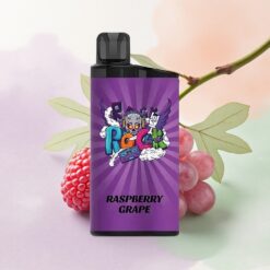 IGET Bar 3500 Puffs Hallons Vinbär 1400 mAh Mesh Coil