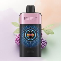 IGET ONE 12000 Puffs Svartbärsis med 2700 mAh och Dual Mesh Coil